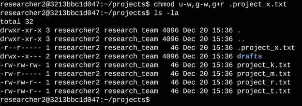 chmod command for hidden file