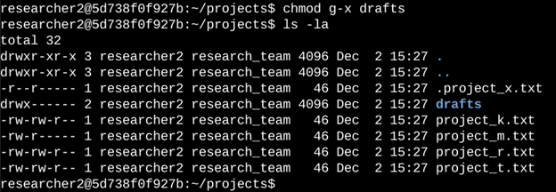 chmod command for directory permissions